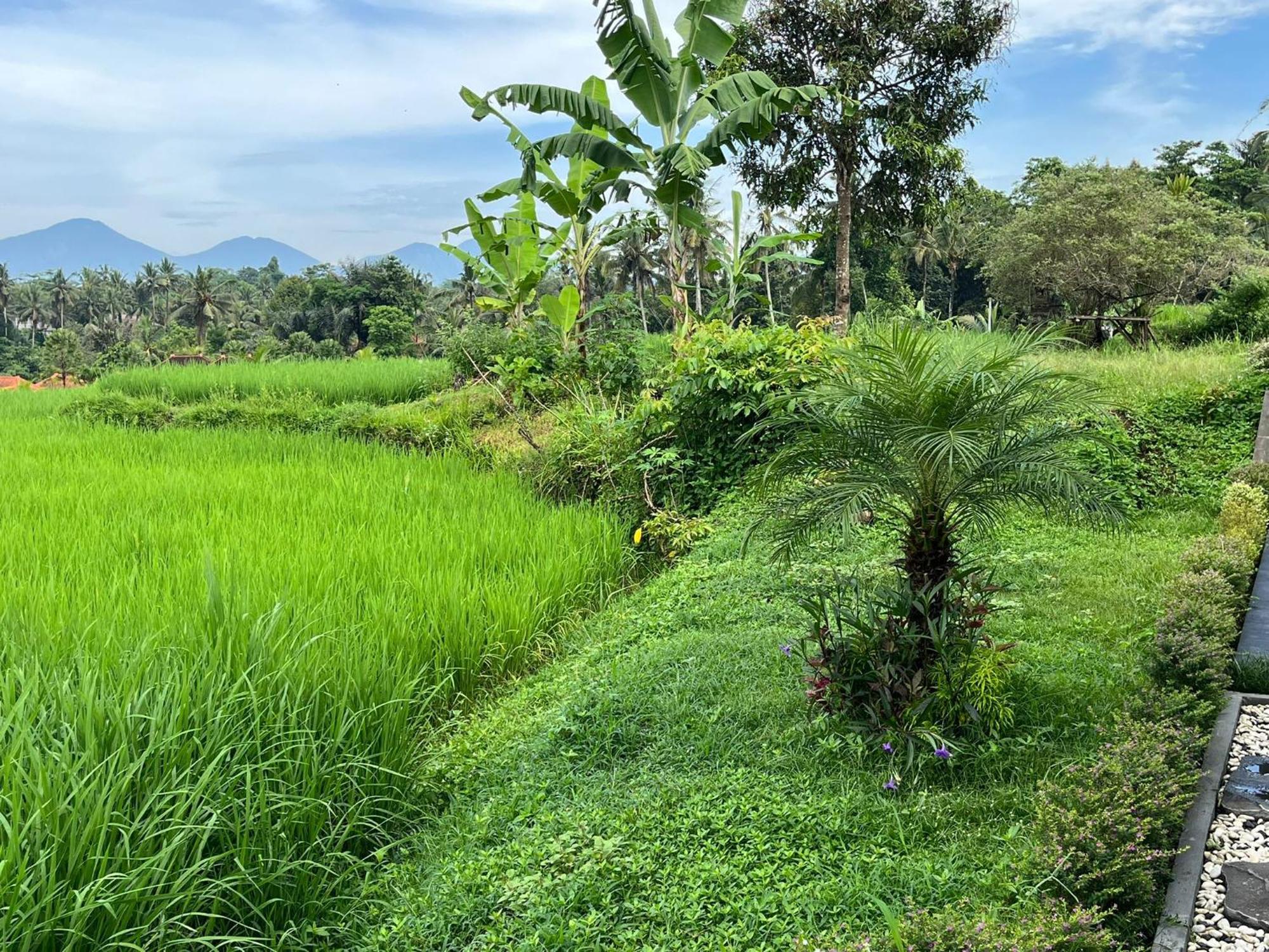 Maple Ridge Ubud Villas 外观 照片