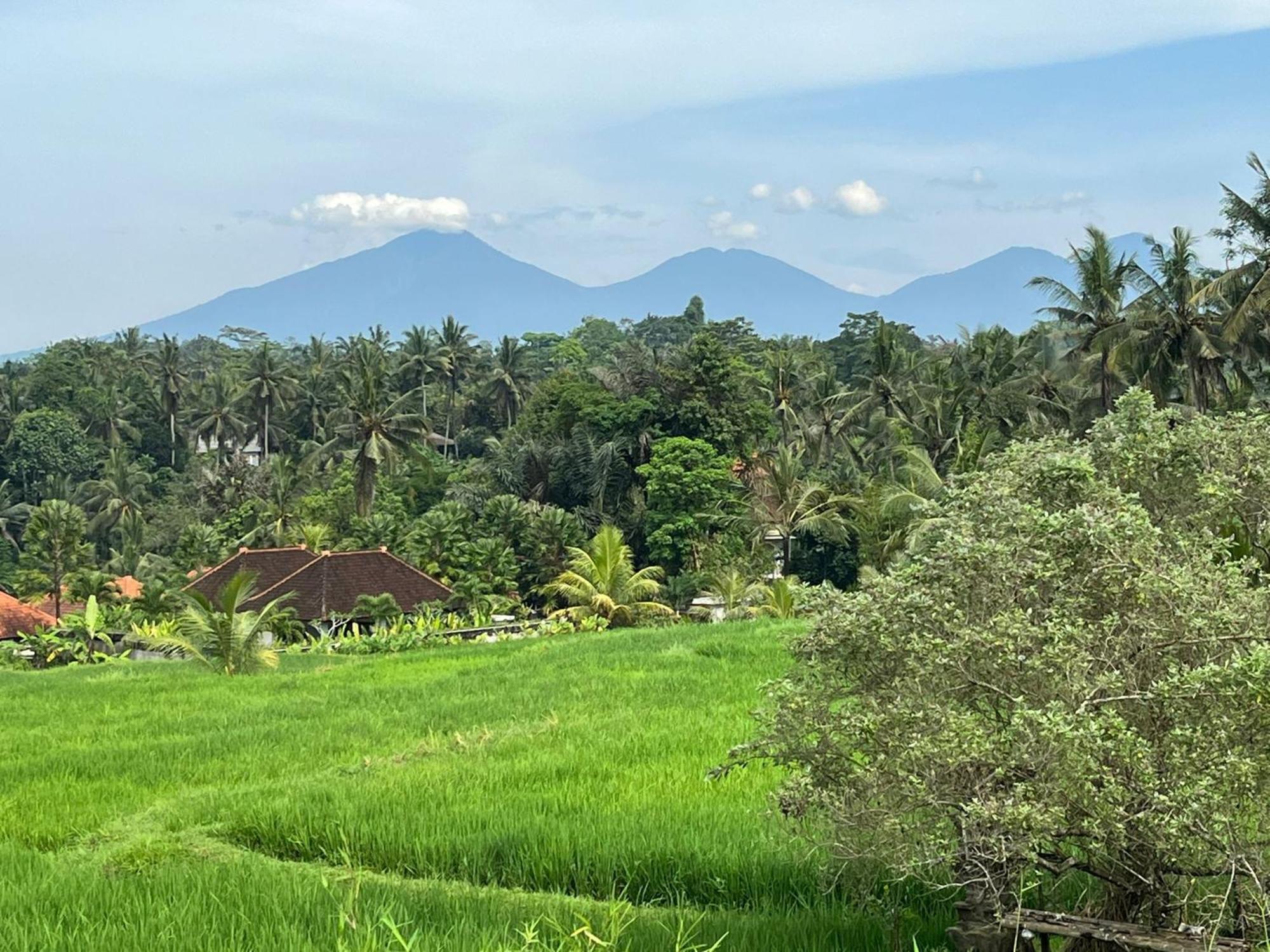 Maple Ridge Ubud Villas 外观 照片